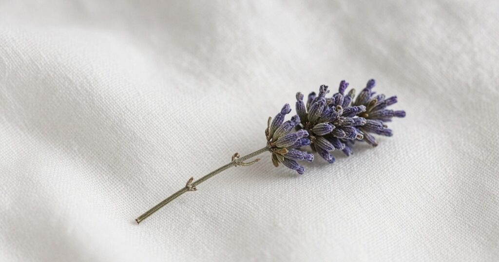 A sprig of lavender on white linen.
