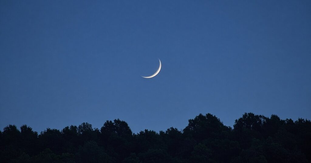 A crescent moon above silhouetted treetops at blue hour.