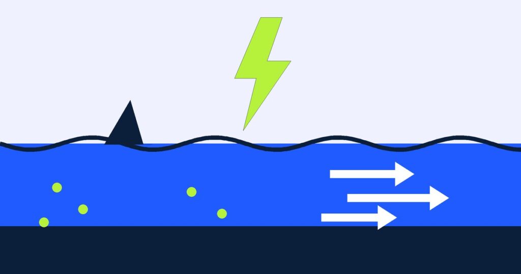 Stylized beach illustration with a navy wave, a shark fin, a lightning bolt and arrows showing a rip current.